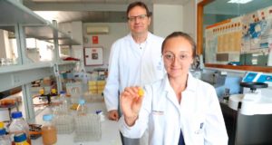 Uchuva, la fruta tropical que podría terminar con la falta de apetito provocado por la quimioterapia