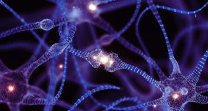 Un estudio sobre neuronas del ojo abre la puerta a modelos de IA más precisos