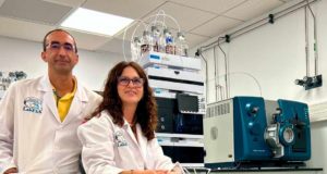 Usan una molécula del té para combatir enfermedades intestinales y cognitivas