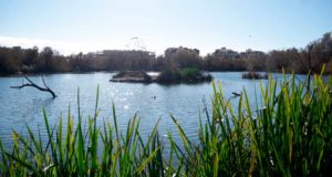 El humedal de la costa granadina que estuvo a punto de desaparecer y hoy es un refugio de aves migratorias