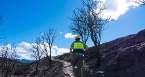 El Gobierno aprueba la creación de un Panel Científico de Acción frente al Cambio Climático
