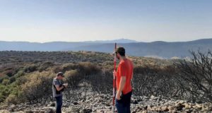 Hasta los científicos se sorprenden: un bosque alicantino ya rebrota tras arder en julio