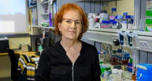 Margarita del Val, Juan Fuster y Ángela Nieto abordan en la UA los próximos retos de la ciencia