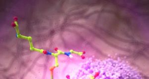 La primera sonda para medir en tiempo real la actividad de las células inmunitarias
