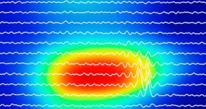 Los ritmos cerebrales revelan cómo el cerebro elige las rutas para procesar la información