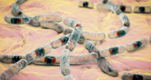 Nanopartículas magnéticas: un arma nueva para combatir a las superbacterias