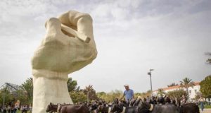 El ganado regresa a la cañada real que atraviesa el campus de la Universidad de Alicante