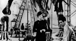 La paleontología, protagonista en el ciclo de cine y ciencia de la UAL