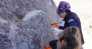 La técnica para analizar las huellas de dinosaurios sin dañarlas