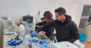 Las olas de calor amenazan la producción de trucha arcoíris