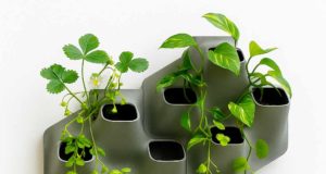 Así funcionan unas fachadas vegetales de nueva generación: depuran aguas residuales