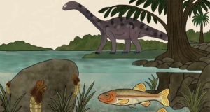 El fósil que guarda el secreto de la evolución de los mosquitos no picadores: tiene 150.000 años