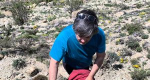 Aparecen nuevas huellas de dinosaurios ornitópodos en tres municipios de Teruel