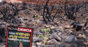 La restauración de las zonas quemadas, a análisis en el número de Nova Ciencia de octubre