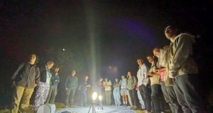 La UNIA organiza un taller de iniciación al estudio de mariposas y escarabajos