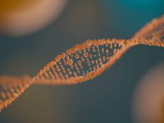 Corrigen con edición genética CRISPR una instrucción equivocada en el ADN que causa acidemia propiónica