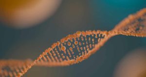 Corrigen con edición genética CRISPR una instrucción equivocada en el ADN que causa acidemia propiónica