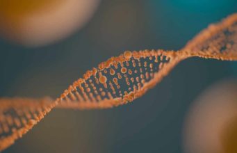 Corrigen con edición genética CRISPR una instrucción equivocada en el ADN que causa acidemia propiónica