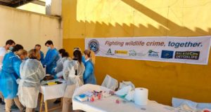 La UNIA formará especialistas en la investigación de crímenes contra la fauna