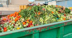 Tener frutas perfectas tiene un coste ambiental: 36.000 millones de litros de agua desperdiciados