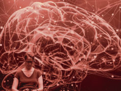 Máster en Neurocriminología de la Universidad de Valencia: estudiar las bases biológicas detrás del delito