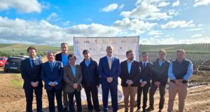 La Universidad de Jaén lidera un proyecto internacional desarrollar el «nuevo Picual»