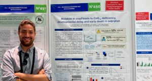 Hay un compuesto natural que frena el hígado graso: lo ha descubierto un equipo de la UGR
