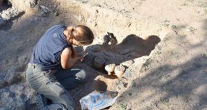 Descubren las macetas que dieron color a la romana Villa Adriana