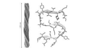 Al descubierto la estructura de una proteína clave en el inicio del alzhéimer