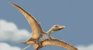 Los primeros vertebrados que alzaron el vuelo reescribren la historia evolutiva del cerebro
