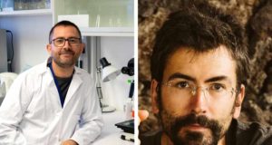 El CSIC logra cuatro millones de la UE para dos proyectos sobre cáncer y biodiversidad