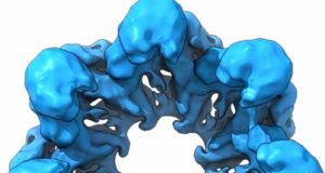Resucitan proteínas de hace 4.000 millones de años: ayudarán a descifrar el origen de la vida