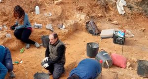 Desentierran restos de rinocerontes que vivieron hace dos millones de años en la provincia de Teruel