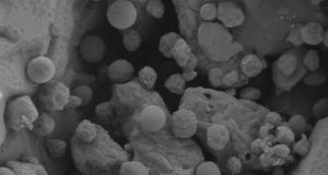 Usan microalgas, aceite usado y azufre industrial para retirar metales de aguas