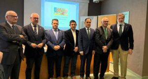 La campaña de aceituna de 2024 estuvo marcada por un desplome del precio del aceite