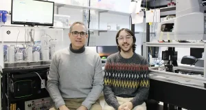 Aceleran el montaje de nanomateriales y abren la puerta a diseñar combinaciones a la carta