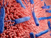 Descubren cómo una bacteria intestinal rompe un anticuerpo clave de las defensas humanas