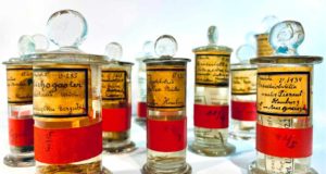 Las piezas de referencia de los museos de ciencias naturales servirá de base para crear gemelos digitales de la biodiversidad