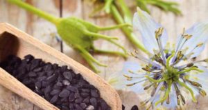 Un método más rápido y eficaz seleccionar las variedades más saludables del comino negro