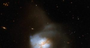 Cartografían ‘autopistas’ magnéticas en los vientos de una galaxia que es como una máquina del tiempo
