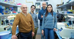 Así es la nueva enzima AICas12a con aplicaciones revolucionarias en edición genética