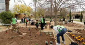 El jardín de biodiversidad que convertirá el campus de la UA en refugio de mariposas e insectos polinizadores