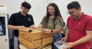 Colmenas “inteligentes” que permiten medir temperatura, humedad, peso y actividad de las abejas en tiempo real sin necesidad de abrirlas