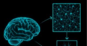La resonancia magnética no es totalmente infalible: ‘engaña’ al mostrar el funcionamiento del cerebro