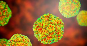 Los puntos débiles de enterovirus abren la puerta a antivirales de amplio espectro