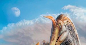 Descubren una nueva especie de Espinosuario que vivía en el Sáhara: reescribe la historia de esta especie