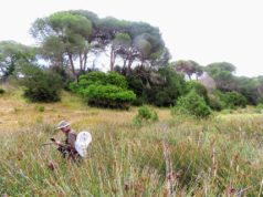 ¿Ha funcionado el modelo de gestión de Doñana? Un libro de la UHU analiza cuatro décadas de desarrollo
