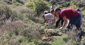Memolab abre el plazo para participar en una jornada de recuperación de acequias tradicionales de Barjas en Cáñar en la Alpujarra este sábado