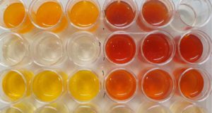 Reprograman la genética de una bacteria para degradar residuos tóxicos de explosivos