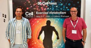 Encuentran una bacteria en el intestino que es capaz de mejorar la fuerza muscular